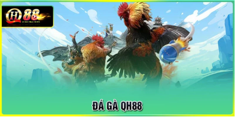 da-ga-qh88-dat-cuoc-truc-tiep-cung-nhung-chien-ke