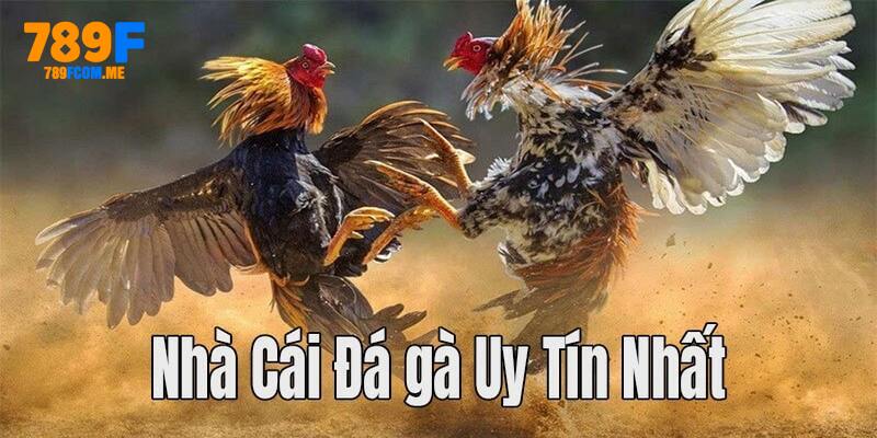 nha-cai-da-ga-789f